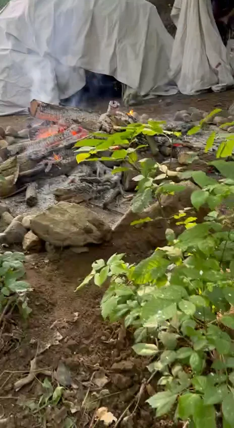 A covered sweat lodge beside a fire in the woods